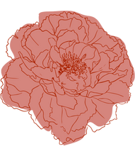 Load image into Gallery viewer, floral illustration
